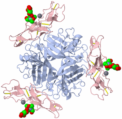 Image Biological Unit 1