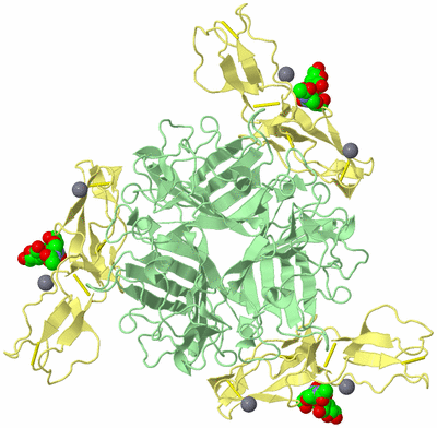 Image Biological Unit 2