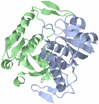 Image Asym./Biol. Unit