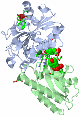 Image Asym./Biol. Unit - sites