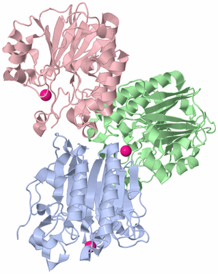 Image Asym./Biol. Unit