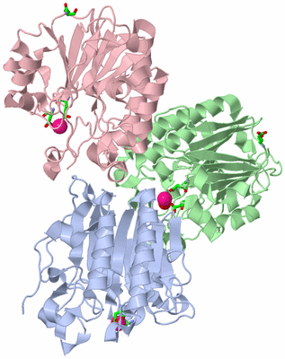 Image Asym./Biol. Unit - sites