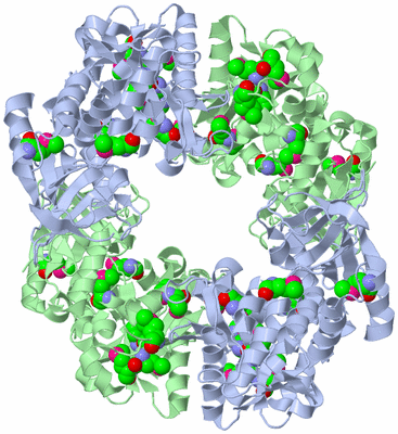 Image Biological Unit 2