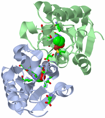 Image Asym./Biol. Unit - sites