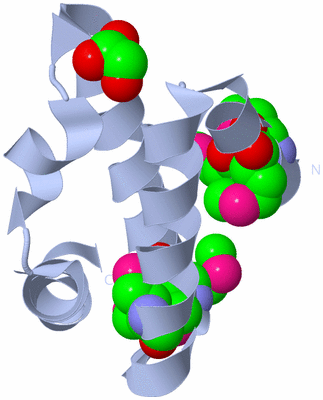 Image Biological Unit 1