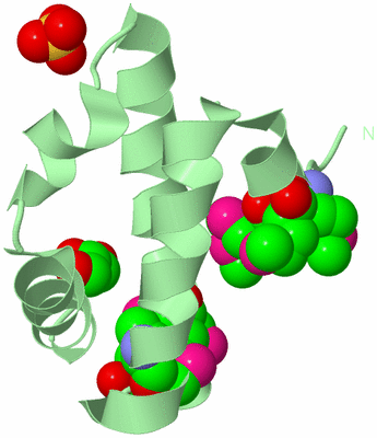 Image Biological Unit 2