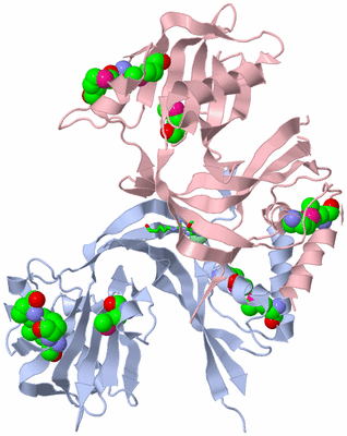 Image Biol. Unit 1 - sites