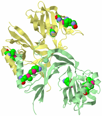 Image Biological Unit 2