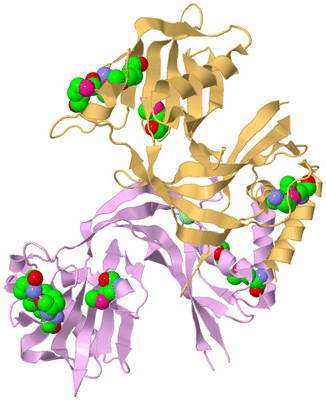 Image Biological Unit 3