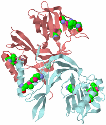 Image Biological Unit 4