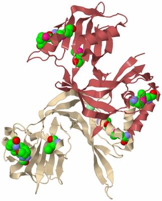 Image Biological Unit 5