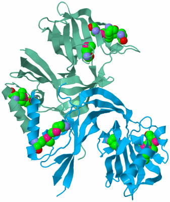 Image Biological Unit 6