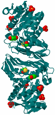 Image Biological Unit 1