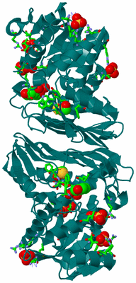 Image Biol. Unit 1 - sites