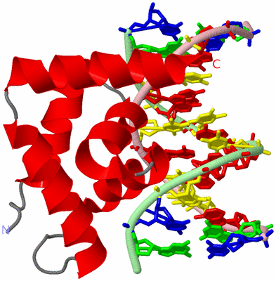 Image Asym./Biol. Unit