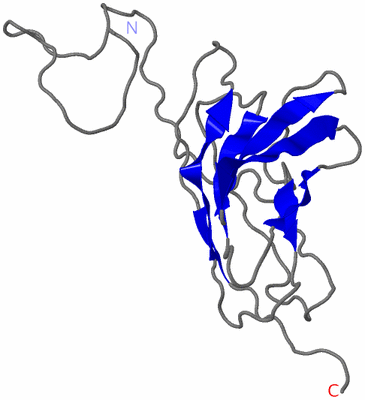 Image NMR Structure - model 1