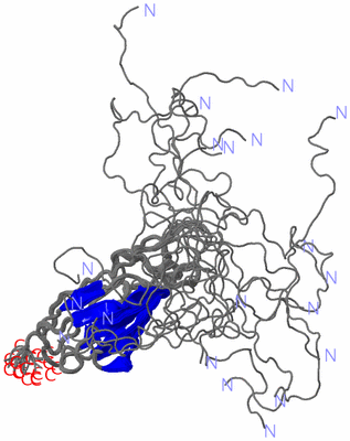 Image NMR Structure - all models