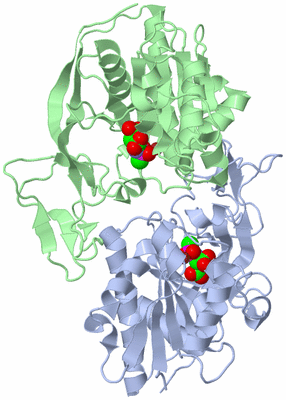 Image Asym./Biol. Unit