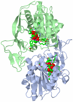 Image Asym./Biol. Unit - sites