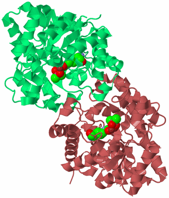 Image Biological Unit 2