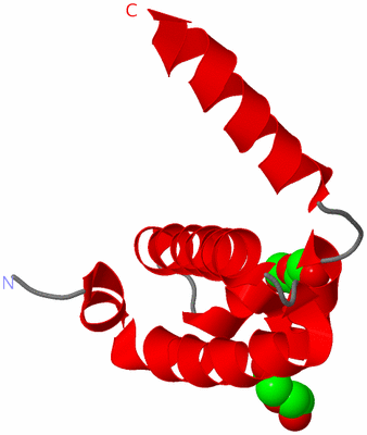 Image Asymmetric Unit