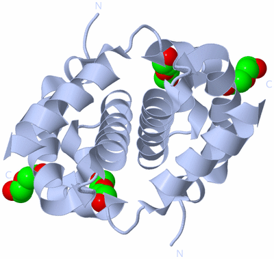 Image Biological Unit 1