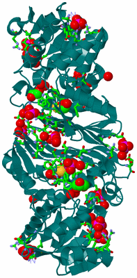 Image Biol. Unit 1 - sites