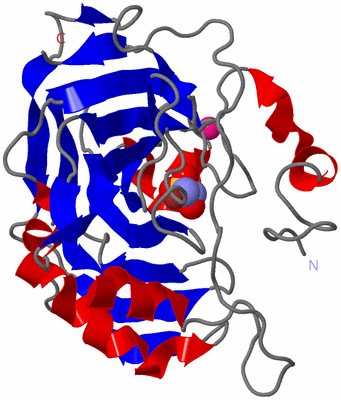 Image Asym./Biol. Unit