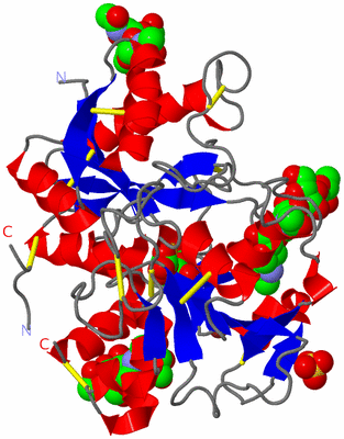 Image Asym./Biol. Unit