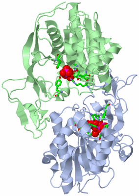 Image Asym./Biol. Unit - sites