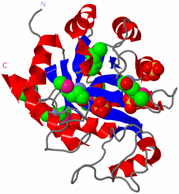 Image Asym./Biol. Unit