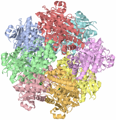 Image Asym./Biol. Unit