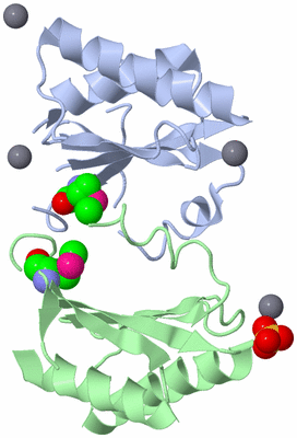 Image Asym./Biol. Unit