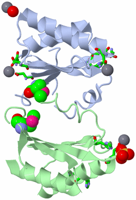 Image Asym./Biol. Unit - sites