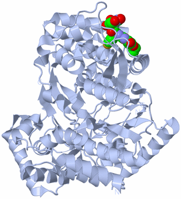 Image Biological Unit 1