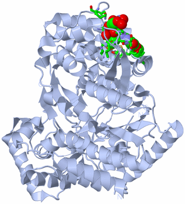 Image Biol. Unit 1 - sites