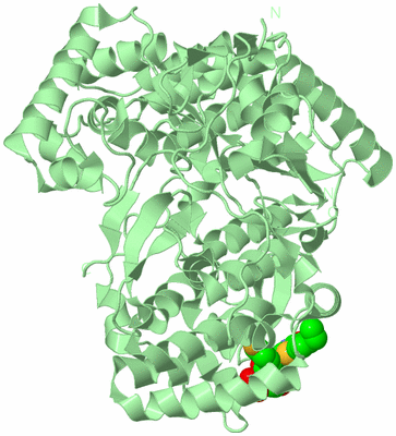 Image Biological Unit 2