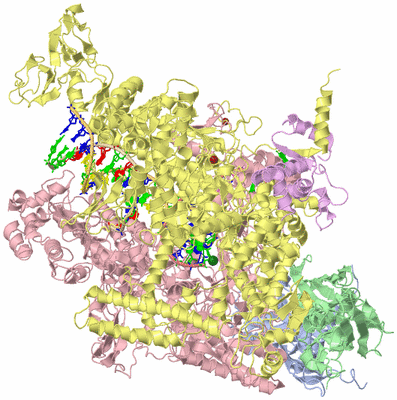 Image Biological Unit 1