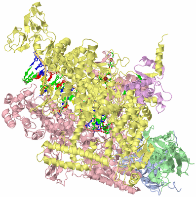 Image Biol. Unit 1 - sites