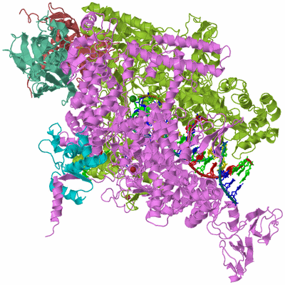 Image Biological Unit 2