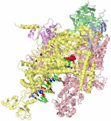 Image Biological Unit 1