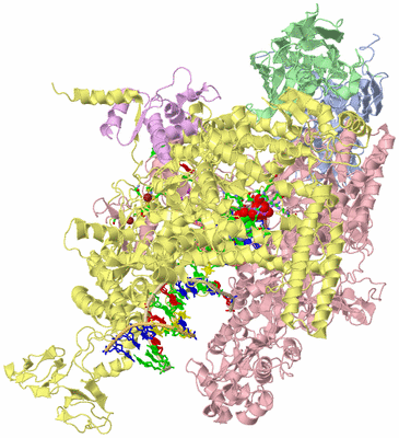 Image Biol. Unit 1 - sites