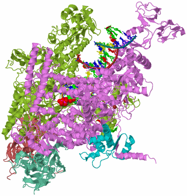 Image Biological Unit 2