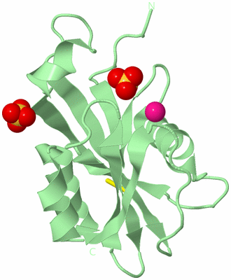 Image Biological Unit 2