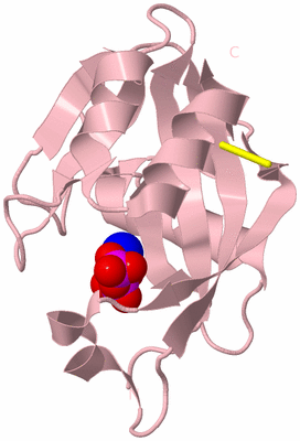 Image Biological Unit 3