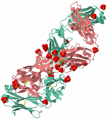 Image Biological Unit 2