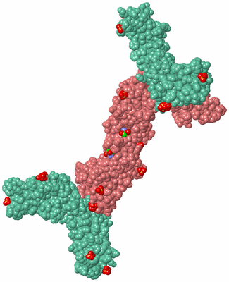 Image Biological Unit 3