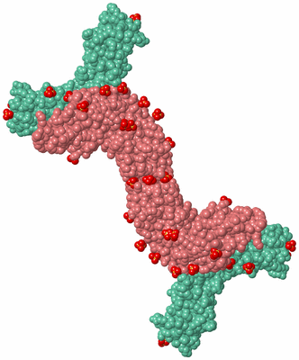 Image Biological Unit 3