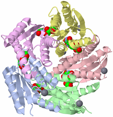 Image Biological Unit 1