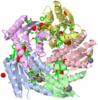 Image Biol. Unit 1 - sites